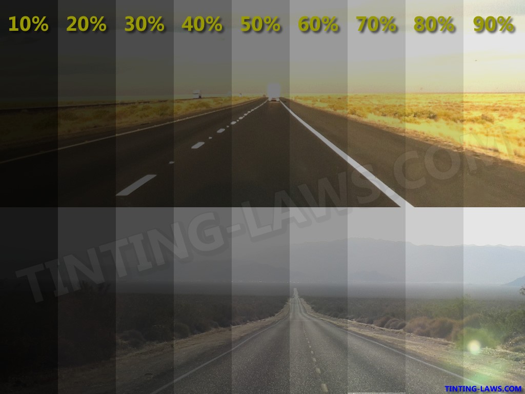 Window tint percentage chart